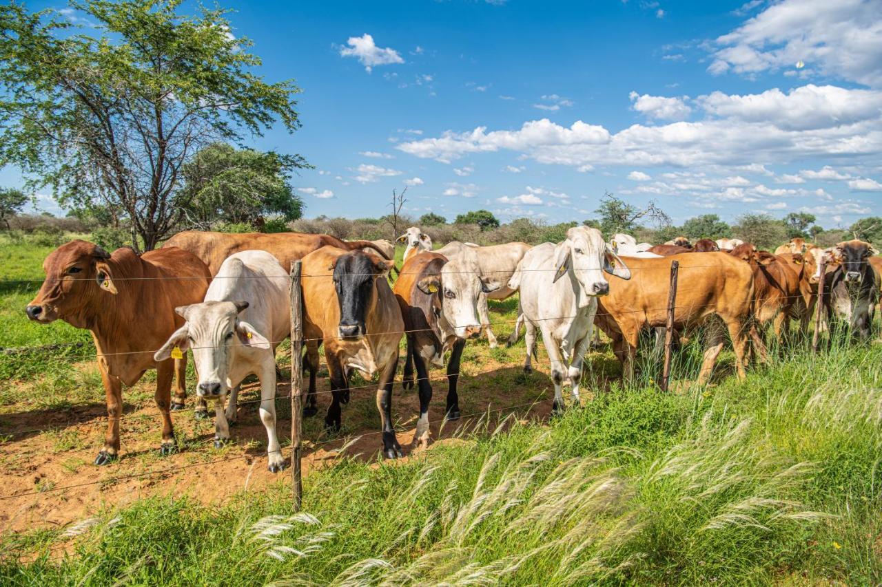 Farmstay Okakeua Okahandja Εξωτερικό φωτογραφία