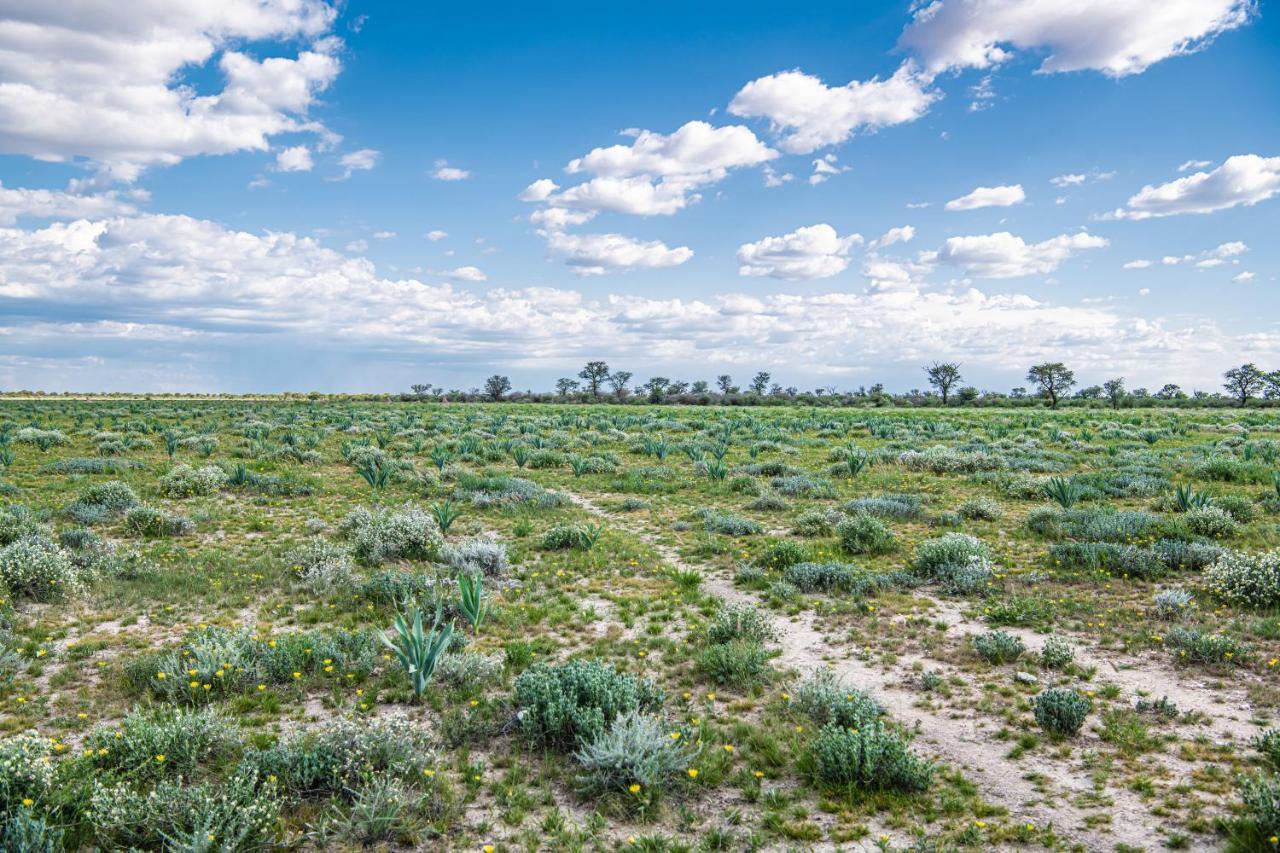 Farmstay Okakeua Okahandja Εξωτερικό φωτογραφία